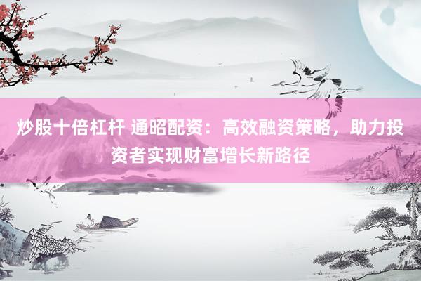炒股十倍杠杆 通昭配资：高效融资策略，助力投资者实现财富增长新路径