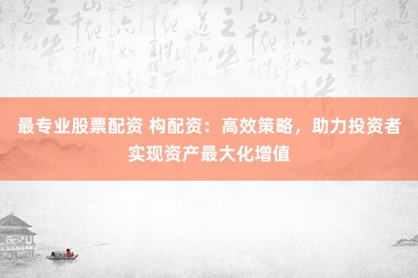 最专业股票配资 构配资：高效策略，助力投资者实现资产最大化增值