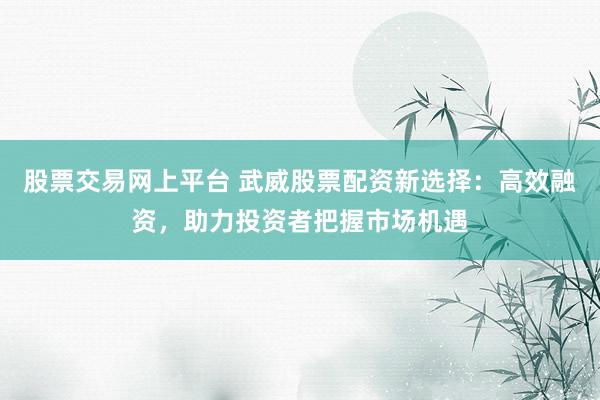 股票交易网上平台 武威股票配资新选择：高效融资，助力投资者把握市场机遇