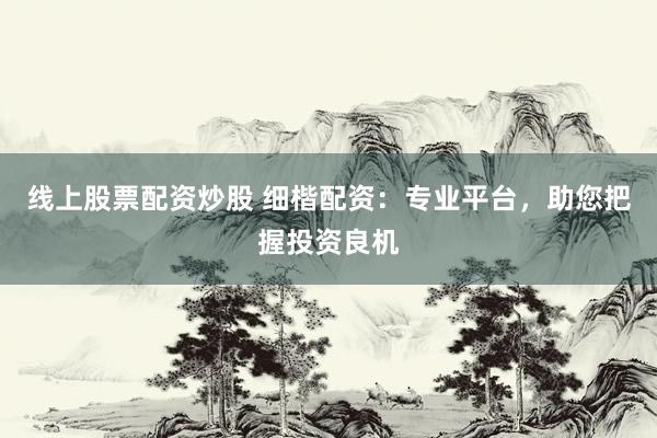 线上股票配资炒股 细楷配资：专业平台，助您把握投资良机
