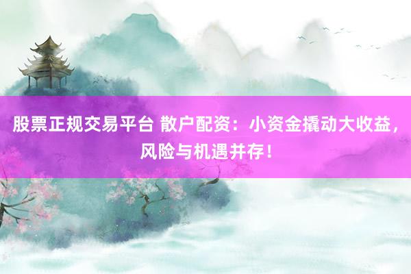 股票正规交易平台 散户配资：小资金撬动大收益，风险与机遇并存！