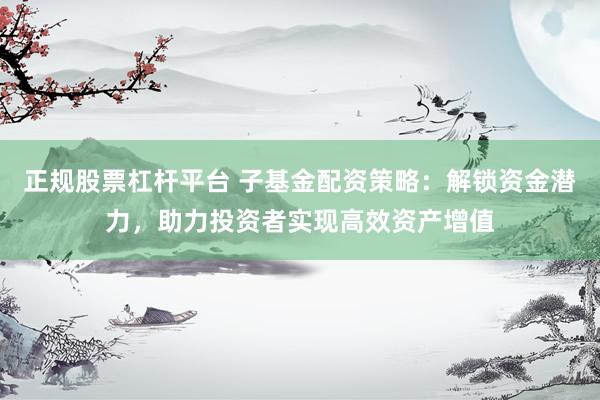正规股票杠杆平台 子基金配资策略：解锁资金潜力，助力投资者实现高效资产增值