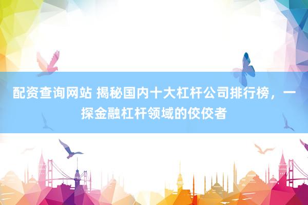 配资查询网站 揭秘国内十大杠杆公司排行榜，一探金融杠杆领域的佼佼者