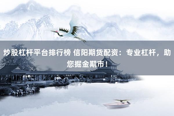 炒股杠杆平台排行榜 信阳期货配资：专业杠杆，助您掘金期市！