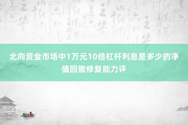 北向资金市场中1万元10倍杠杆利息是多少的净值回撤修复能力评