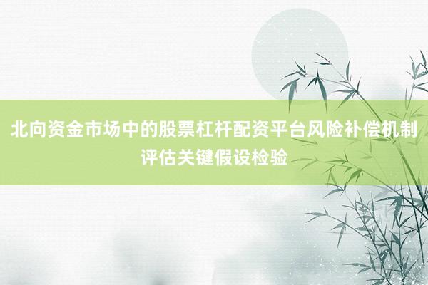 北向资金市场中的股票杠杆配资平台风险补偿机制评估关键假设检验