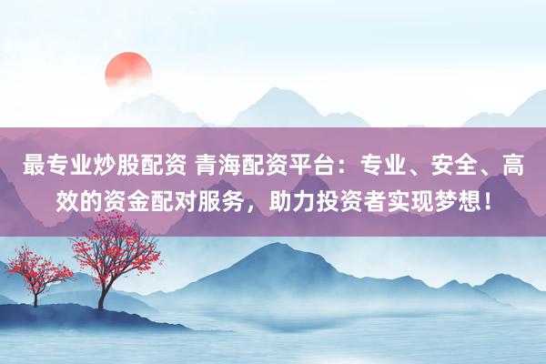 最专业炒股配资 青海配资平台：专业、安全、高效的资金配对服务，助力投资者实现梦想！